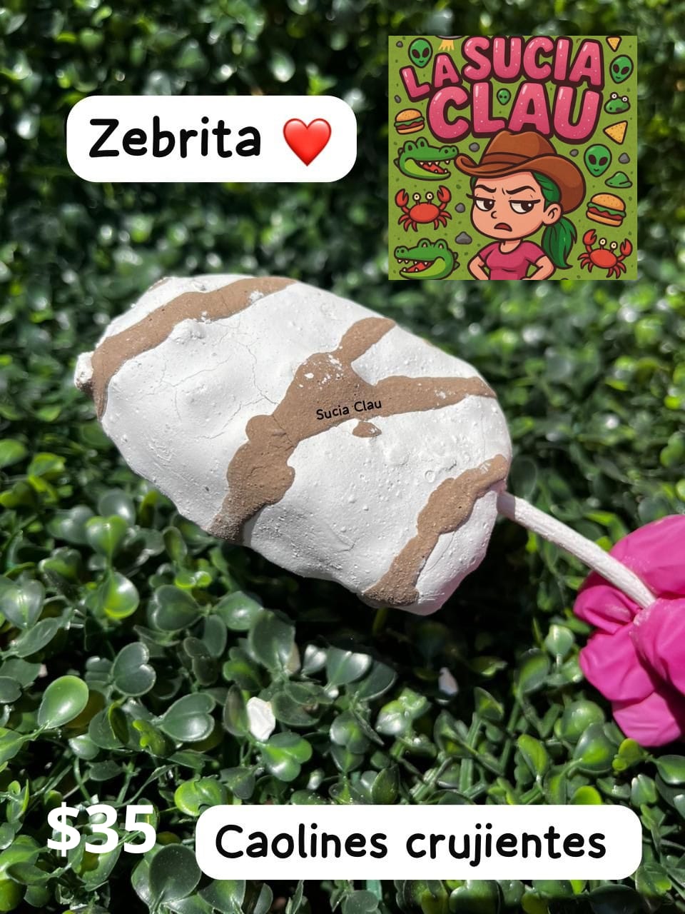 Zebrita 🦓