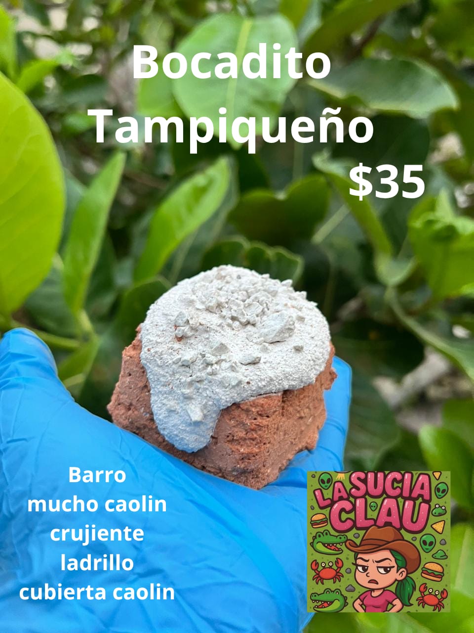 Bocadito tampiqueño