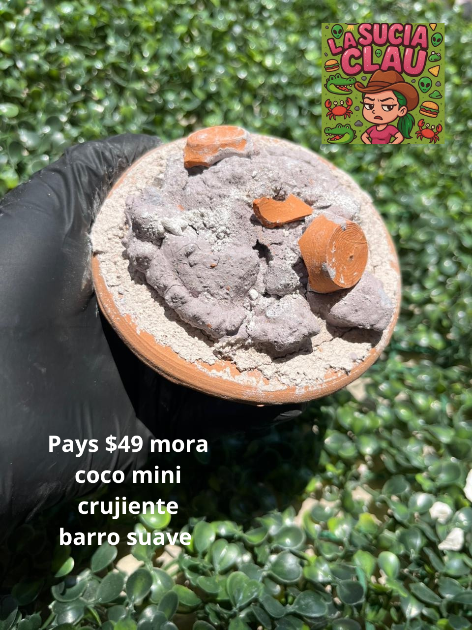Pay 🍩