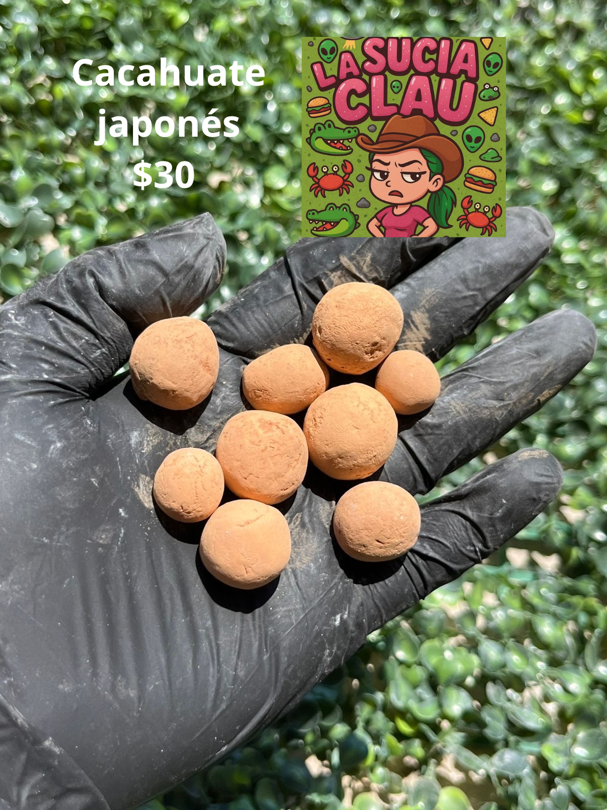 Cacahuate de barro 🥜