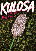Kulosa 🇳🇬