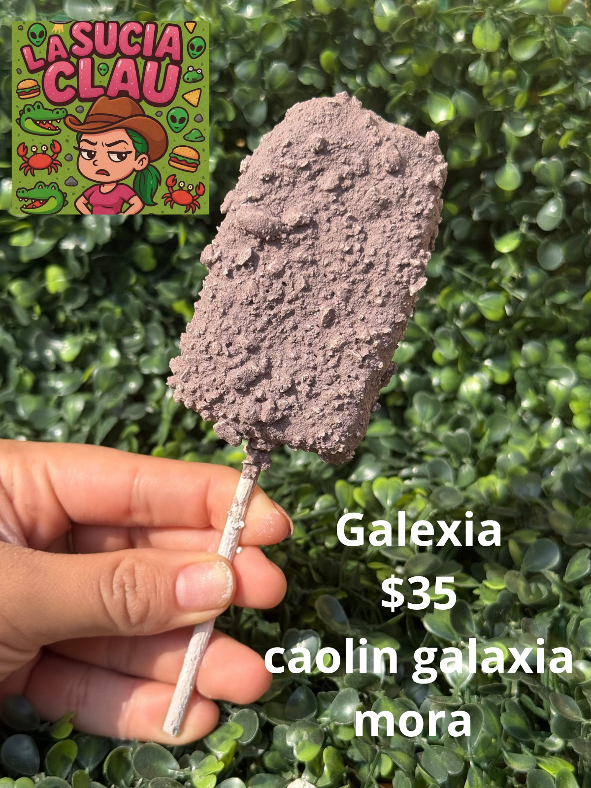 Galexia 🏳️‍🌈